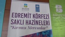 Edremit Körfezi Saklı Hazineleri Kırmızı Mercanlar Projesi