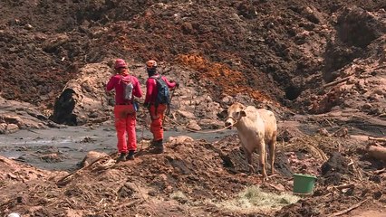 Moody’s rebaixa Vale