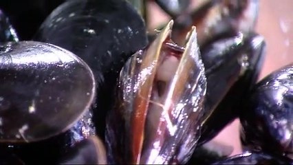Cooking mussels