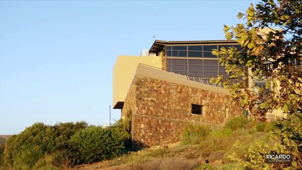 The Durbanville Hills vineyard