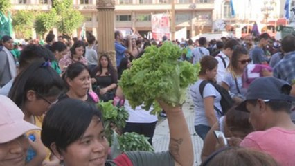 Un "verdurazo", la estrategia para protestar de los pequeños productores en Argentina