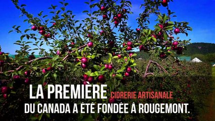 On est les meilleurs | Capsules de mai 2017