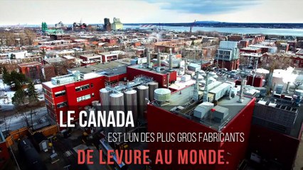 On est les meilleurs Promo juillet/août (29 à 32)