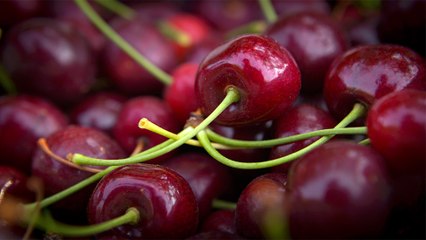 35 - Les cerises douces de la vallée de l’Okanagan, exportées dans plus de 20 pays