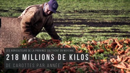 Promo On est les meilleurs # 49 à 52