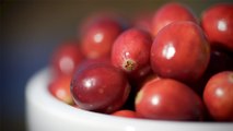 52 - Villeroy cranberries contribute to making Canada one of the largest cranberry producers in the world