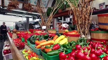 2018 LESLEY STOWES 60SEC FR HD MASTER