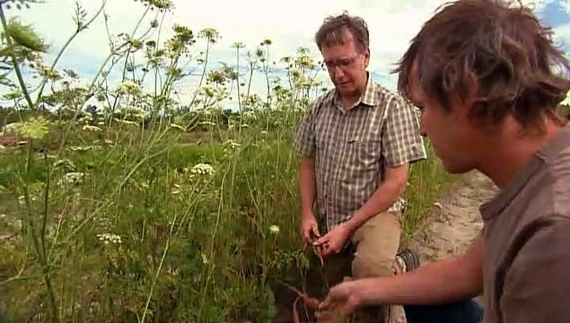 TOPO WEB RF3 55-CAROTTES COULEURS EN