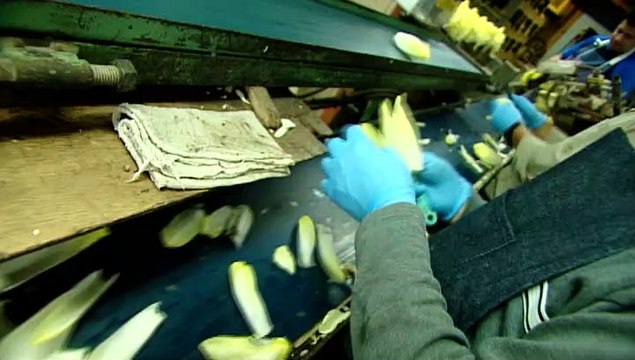 TOPO WEB RF3 66-ENDIVES EN