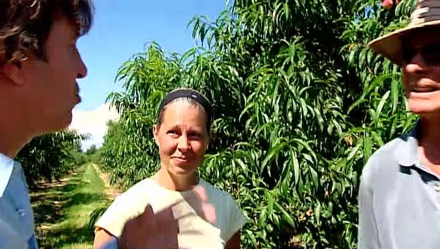 TOPO WEB RF3 67-PECHES EN