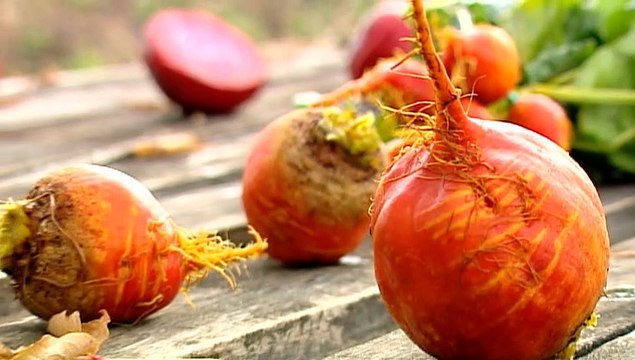 TOPO WEB RF3 72-BETTERAVES EN