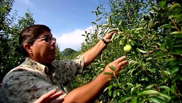 TOPO WEB RF3 68-POIRES EN