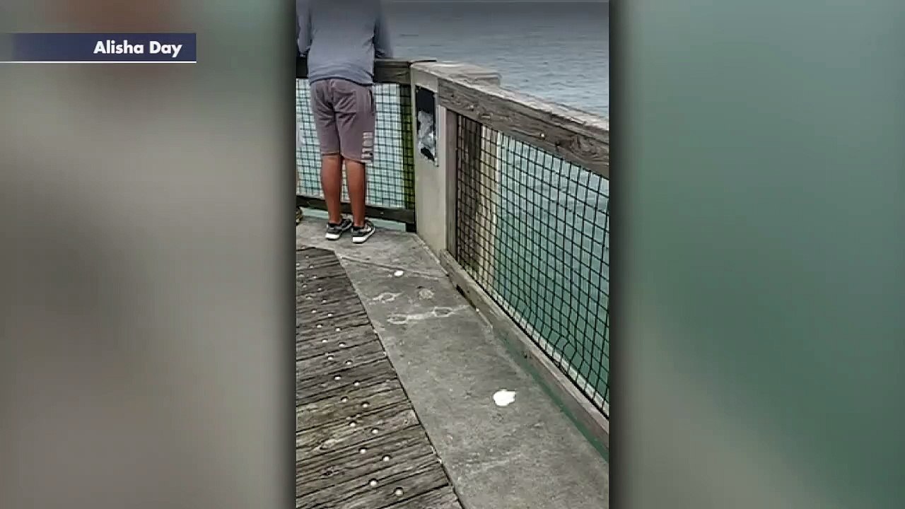 Florida fishermen reel in massive great white shark in rare catch: ‘I’m speechless’