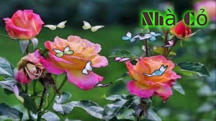 Audio đam mỹ: Dị Thế Lưu Đày: 49-51