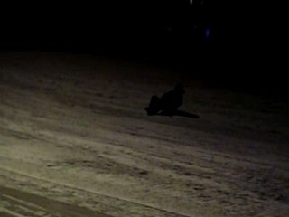 Luge