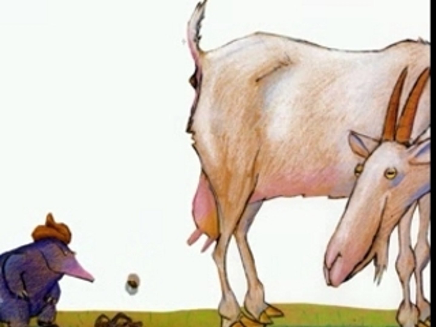 Qui A Fait Caca Sur La Tete De La Taupe