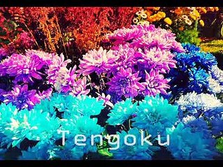 BLCD BL Paradise - 1 K Apartment no Koi part07 END