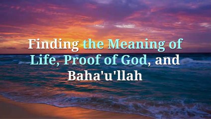 What Is The Meaning Of Life?