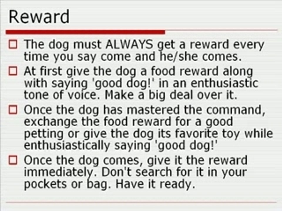 Most Important Dog Training Technique- The Recall Command