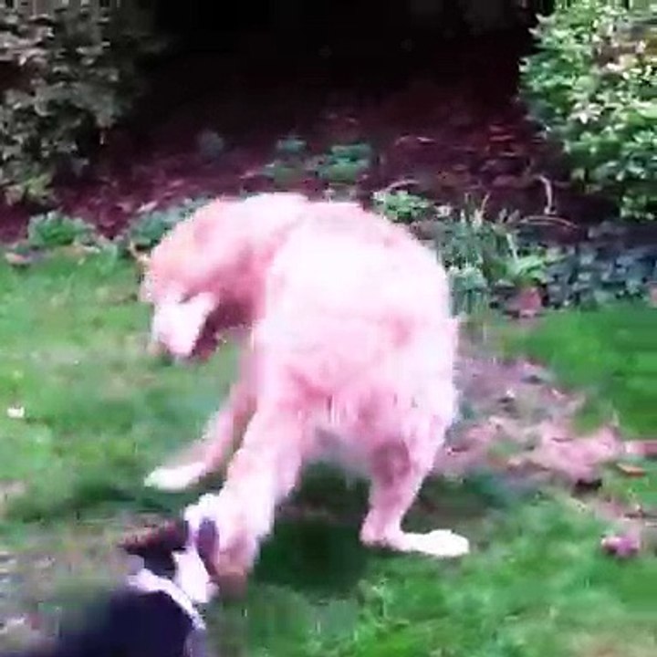 funny moments