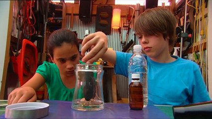 Kid Detectives   S1E8   Document Burglary