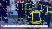Fire Fighters Saving Lodged Sewer Rat In A Manhole Cover