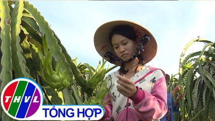 Thắp sáng niềm tin – Kỳ 490: Em Nguyễn Thị Ngọc Dân