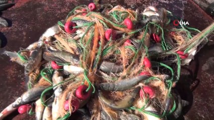 Soğuk havalarla birlikte Van Gölü nefes aldı