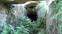 Les Mégalithes (Menhirs - Dolmens...)