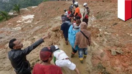 Illegal gold mine in Indonesia collapses trapping 43