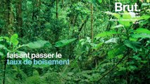 Le Costa Rica multiplie les mesures environnementales