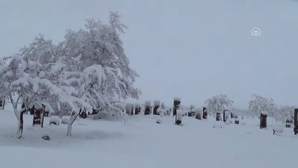 Tarihi Yapılarda Kış Güzelliği
