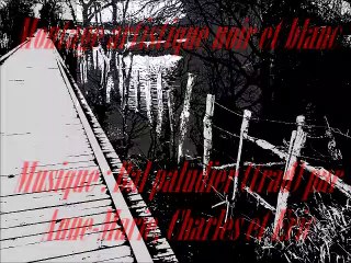 montage artistique noir et blanc