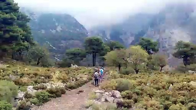 Öldür Beni Sevgilim