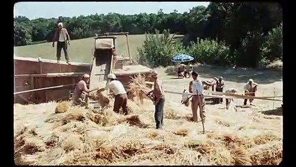 Lazzaro Felice