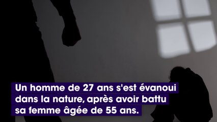 Il bat sa femme après avoir été pris en flagrant délit d'acte sexuel avec son chien