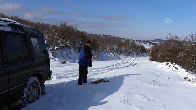 İyiliksever mahalleli dağ başında hayvanları besliyor - TEKİRDAĞ