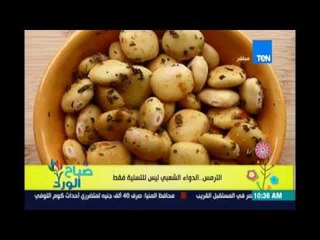 صباح الورد | - تعرف علي فوائد الترمس.. الدواء الشعبي ليس للتسلية فقط