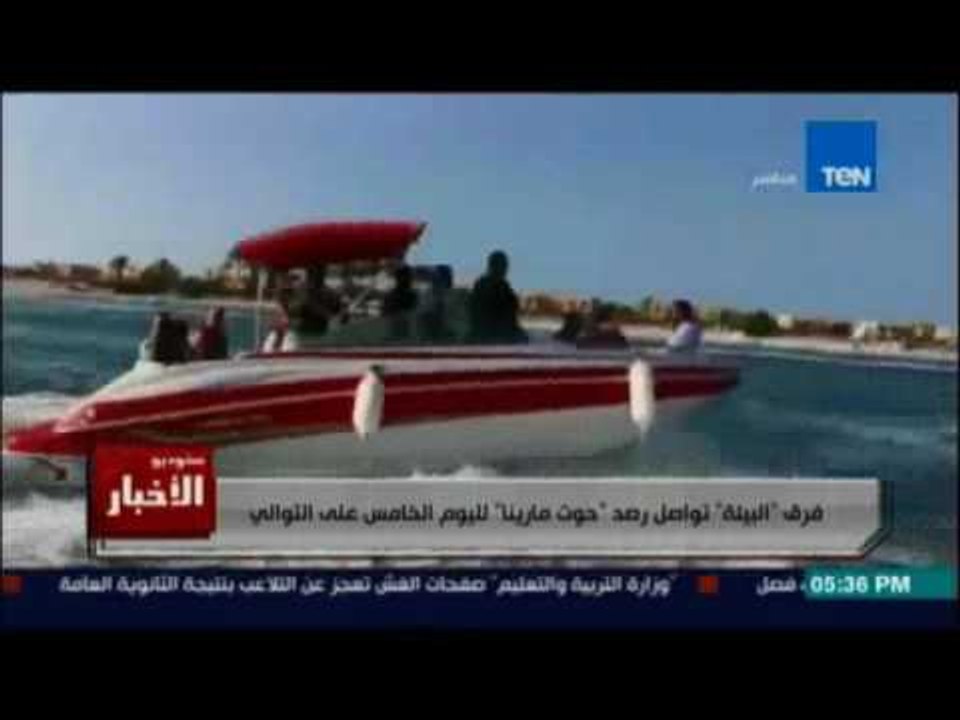 فرق البيئة تواصل رصد حوت مارينا لليوم الخامس علي التوالي