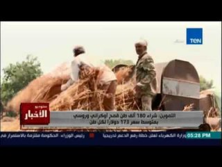 التموين تتعاقد لشراء 180 ألف طن قمح.. وسمر نجيدة: نشتري ولم تنتهي تحقيقات فساد توريد القنح