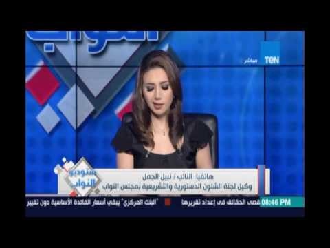 النائب نبيل الجمل وكيل لجنة الشئون الدستورية يكشف الموقف القانوني لازمة بطلان عضوية أحمد مرتضي منصور