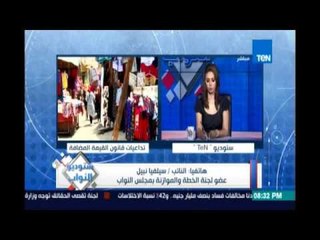 النائبة سيلفيا نبيل: قانون القيمة المضافة تحت الدراسة ونتواصل مع كافة المخاطبين بالقانون لتقيم عيوبه