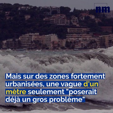 Possibilité d'un tsunami, Partager une course de taxi, Météo dingue: voici votre brief info de ce jeudi après-midi