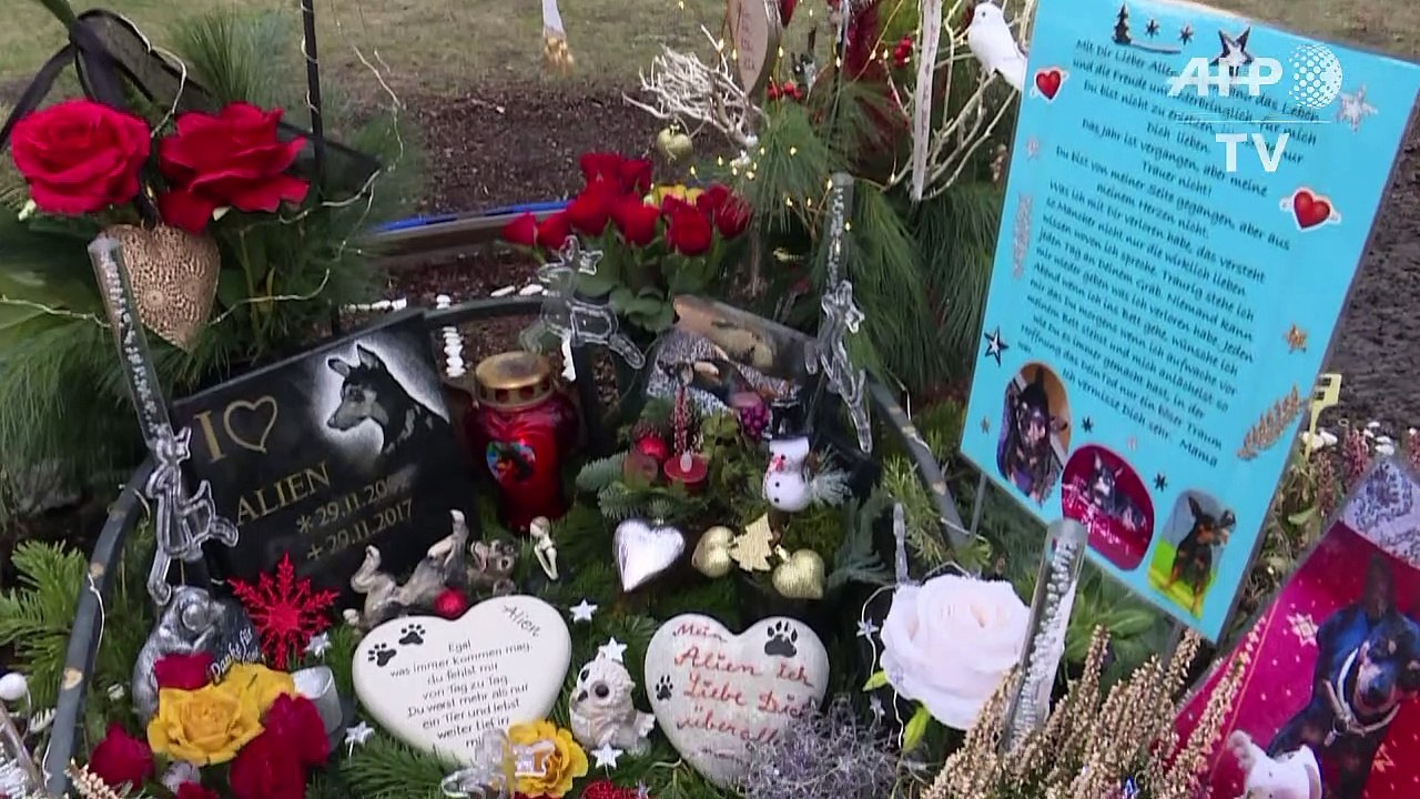 'Friedhof der Kuscheltiere': Letzte Ruhe für Waldi und Co