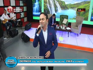 ŞİNASİ CAN YAYLANIZIN UFAK UFAK YOKUŞU