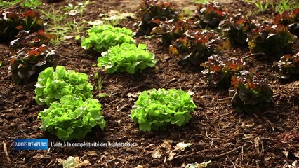 Modes d'emplois - L'aide à la compétitivité des exploitations