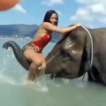 Un femme fait un tour d'éléphant