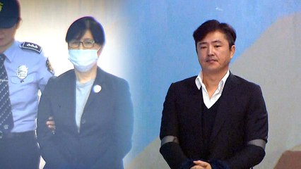 "국정농단 특검법 합헌" 최순실 패소...고영태는 실형 확정 / YTN