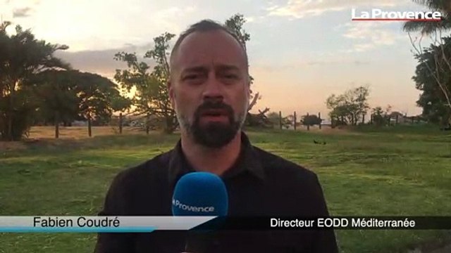 Fabien Coudré, directeur de l'agence région Sud chez EODD : Nos thématiques qui s'accordent pleinement avec le nouveau plan de décarbonisation du Costa Rica.