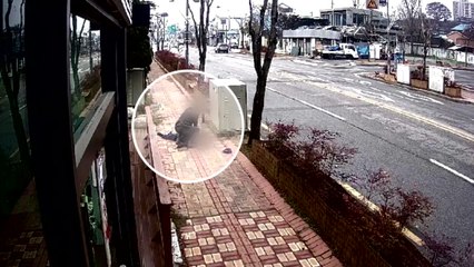 해경, 쓰러진 80대 심폐소생술로 생명 살려 / YTN